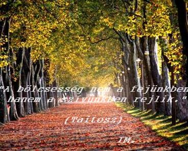 gy_ny_r___szi_tr_j____t___a_b_lcsess_g_nem_a_fej_nkben.jpg